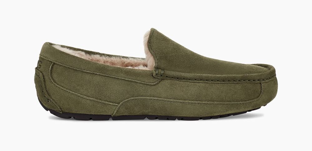 Ugg Slippers Canada - Ugg Men's Ascot Olive